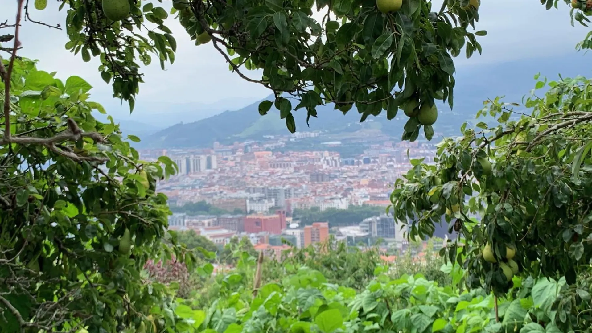 Hotel Artetxe Bilbao